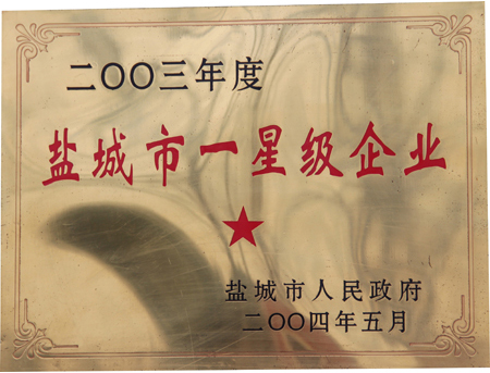 鹽城市一星級(jí)企業(yè)